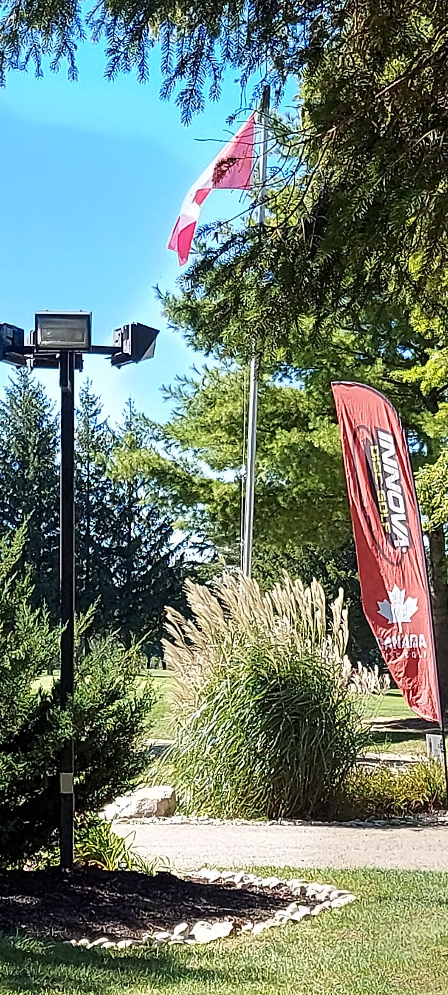 2021 Fox Open behind the basket. 🍁🌾🚩🇨🇦🚩🇨🇦🌾🇨🇦🌾