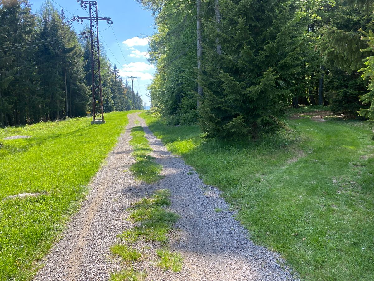 On the way to Tee 6, go right