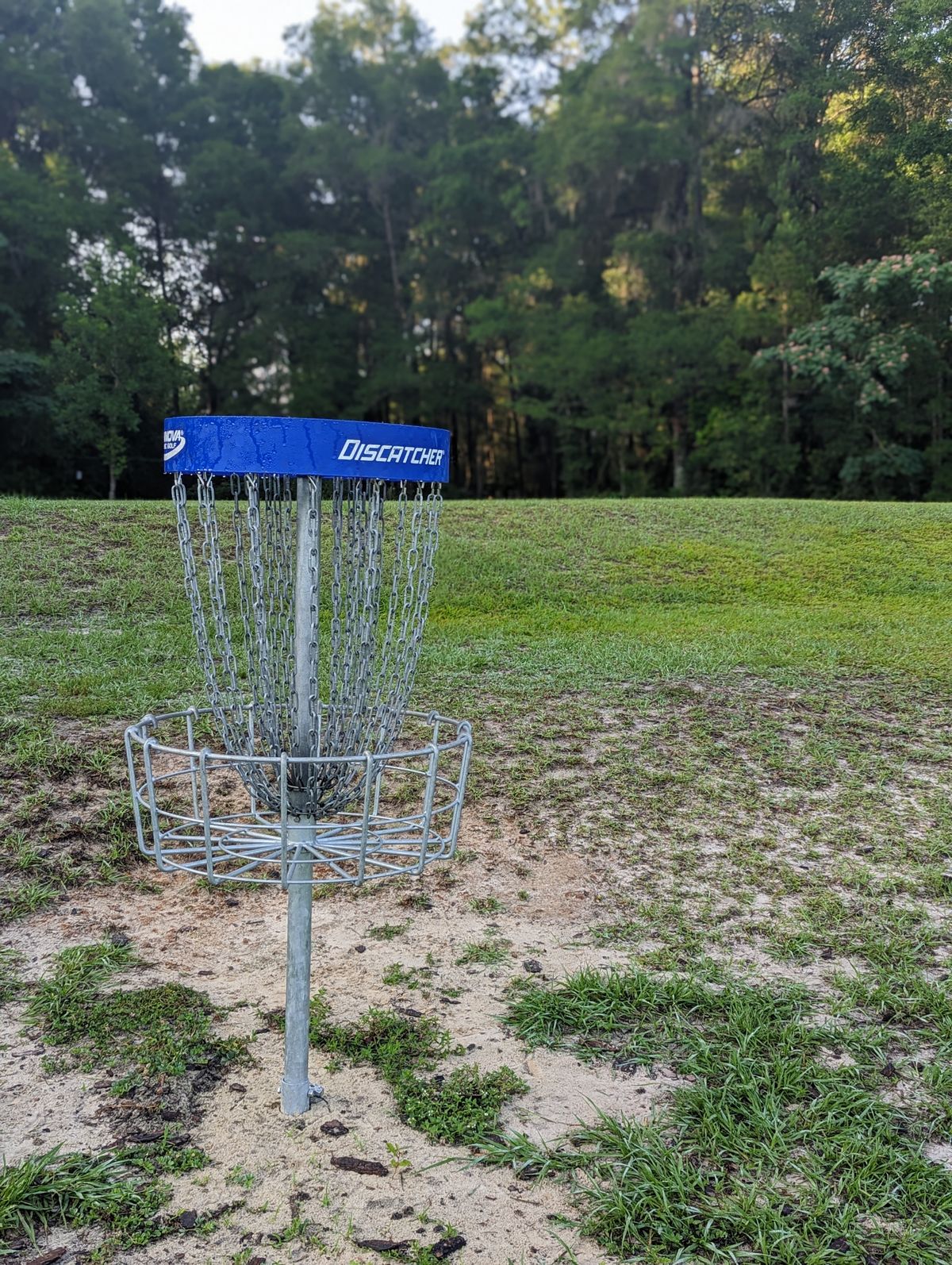 Looking from the basket right back to the tunnel coming out of the woods at the tee pad.