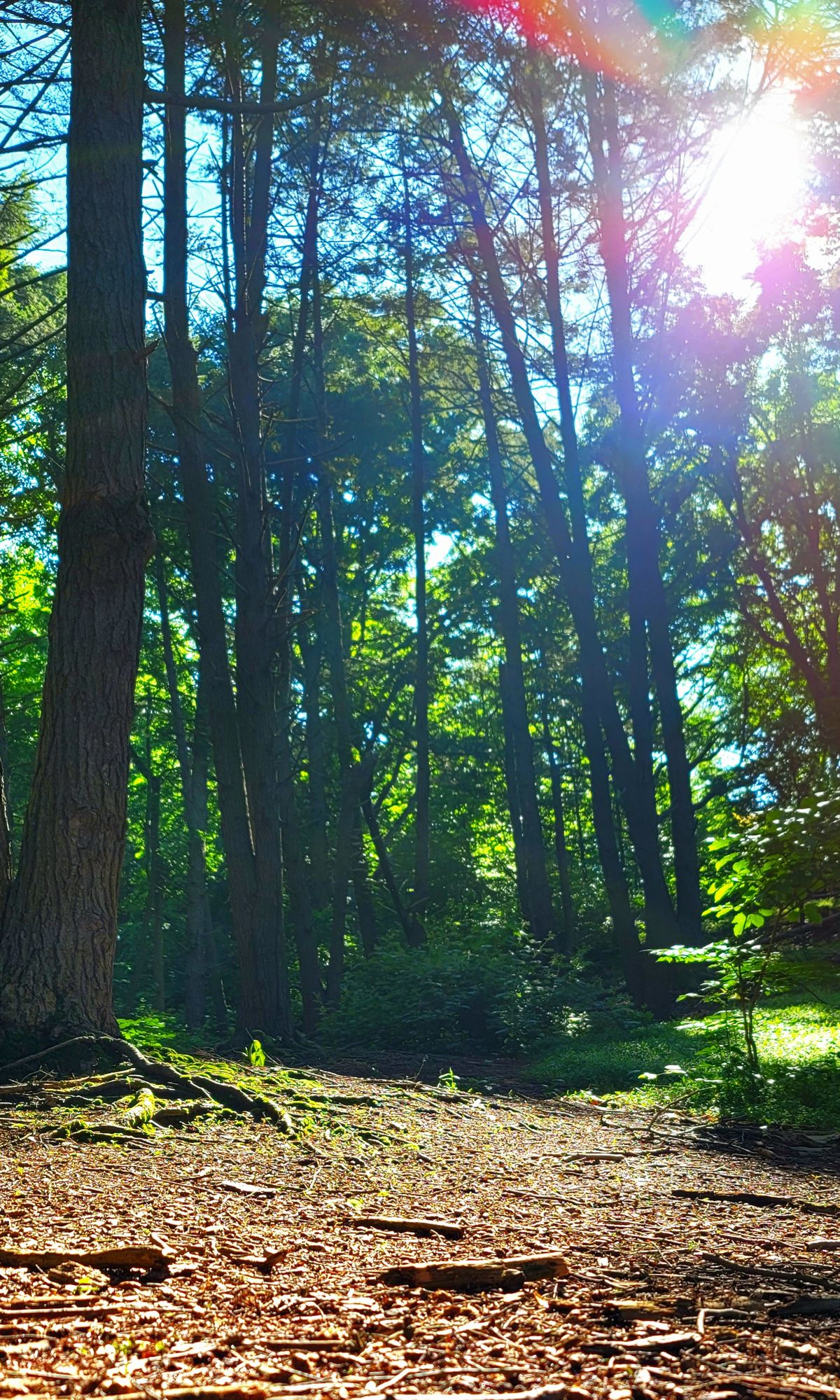#13 fairway