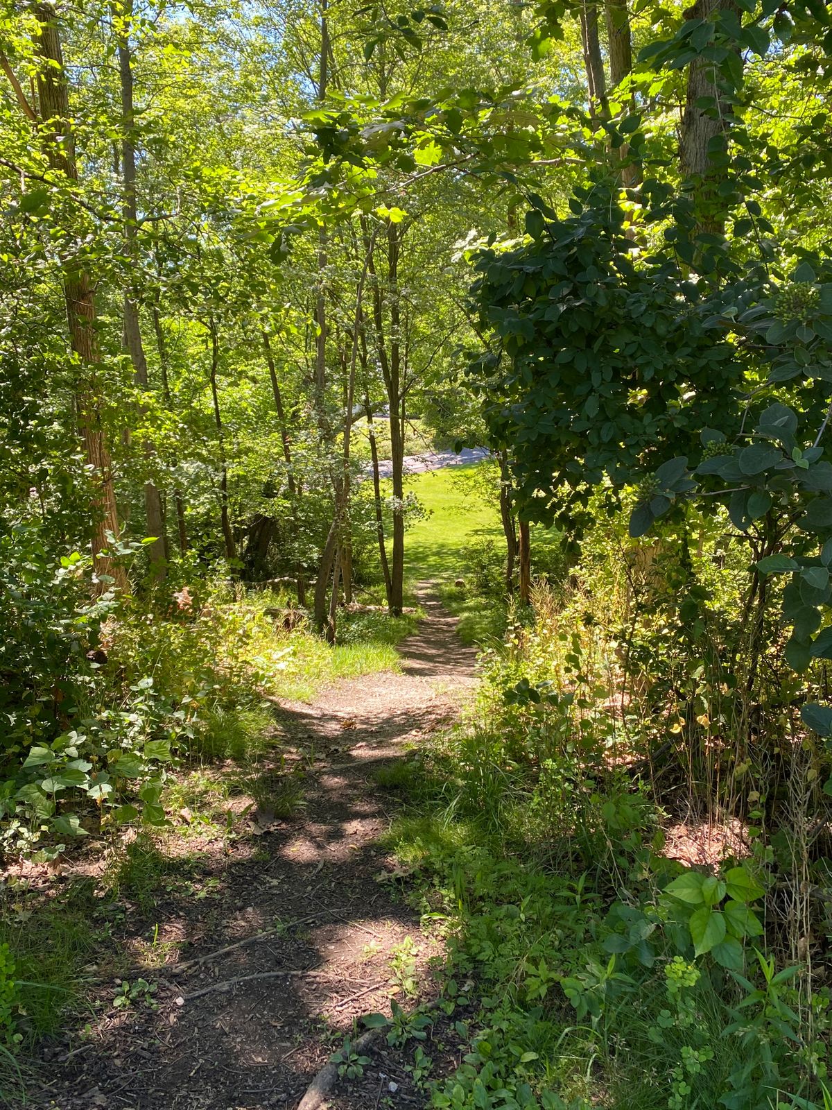 Hole 6