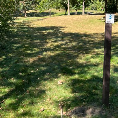 Hole 3, basket to the left of center tree