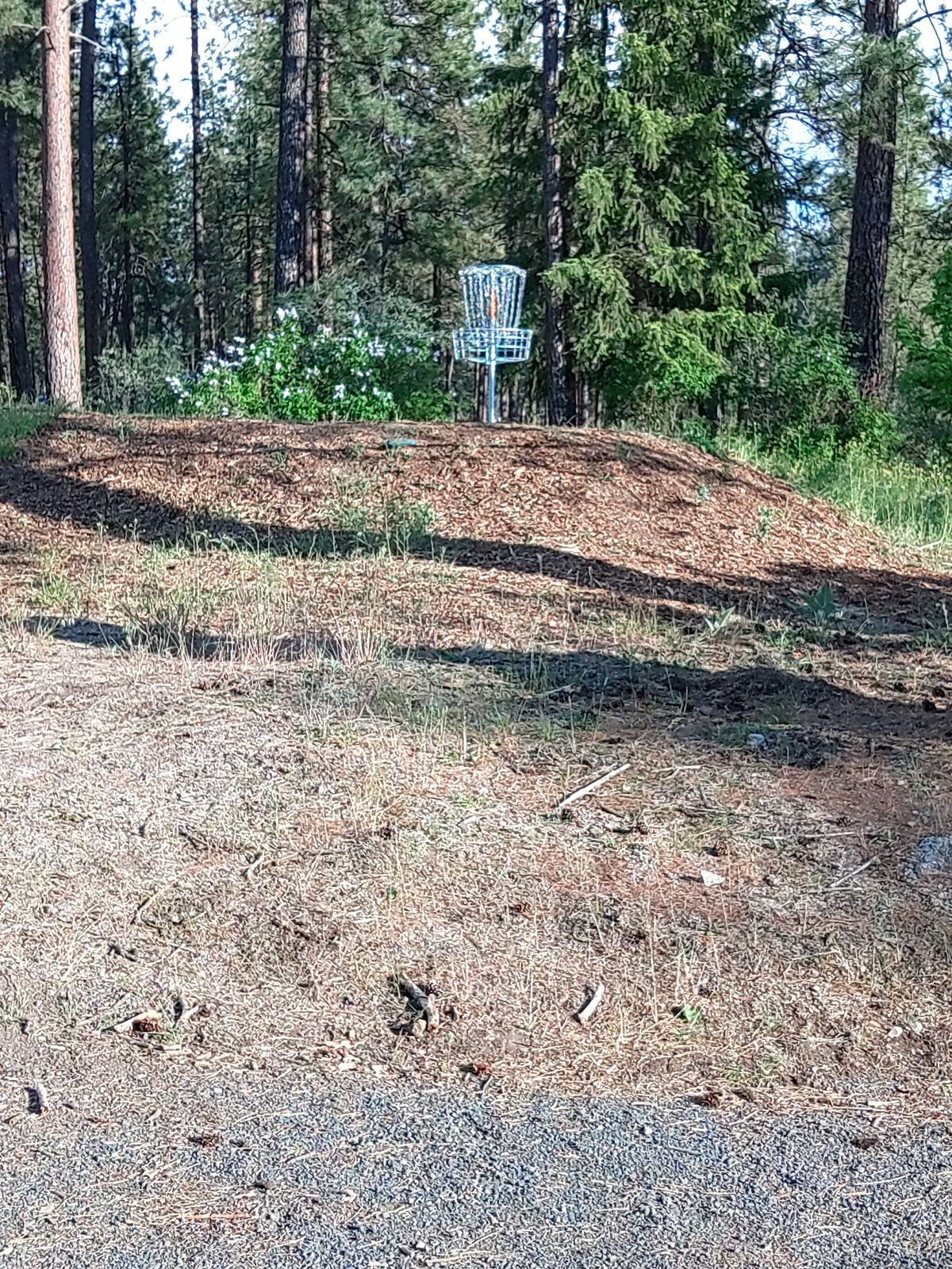 Basket 13. Road on right and over OB.