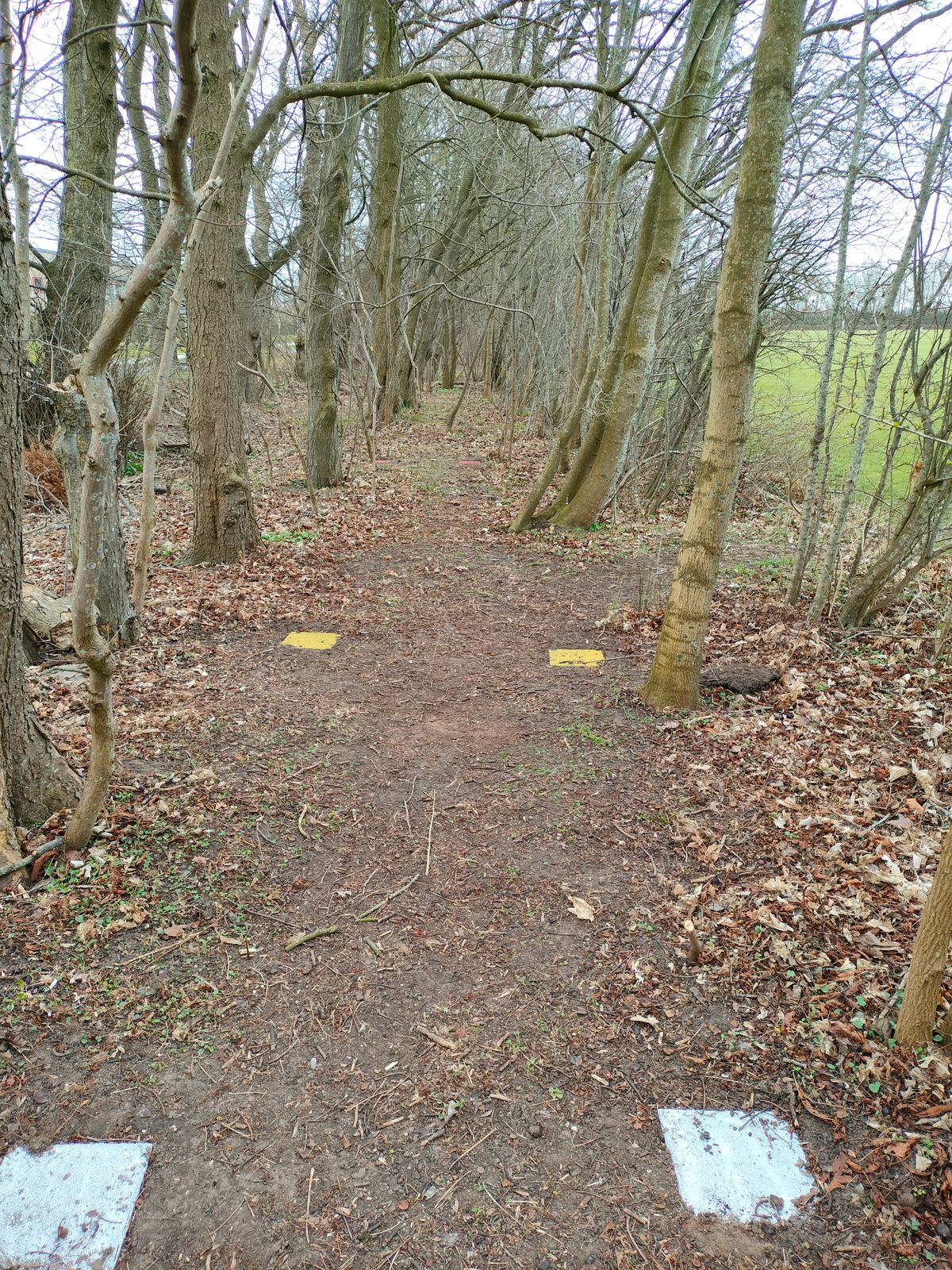 Par 3