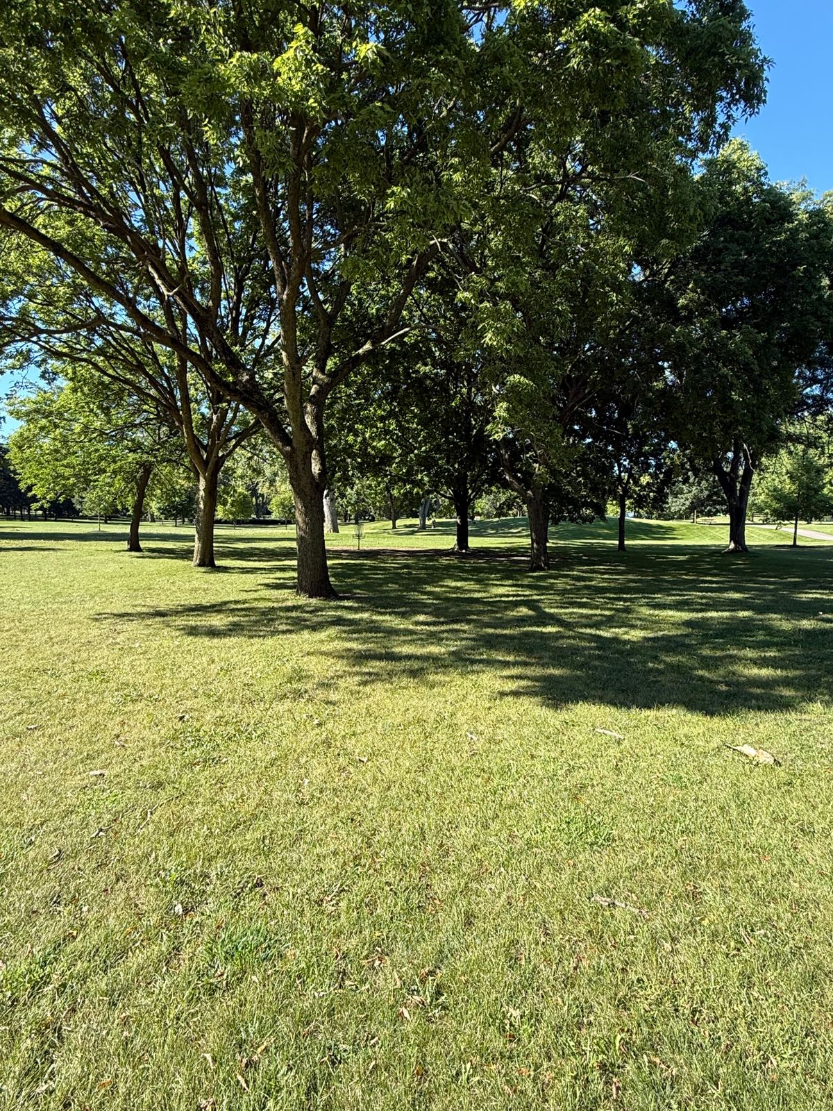 Tee 4 approach