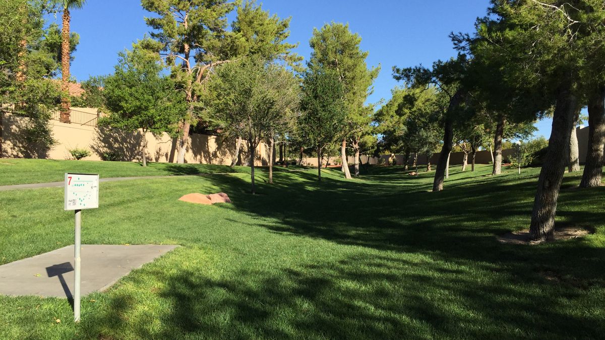 Hole 7