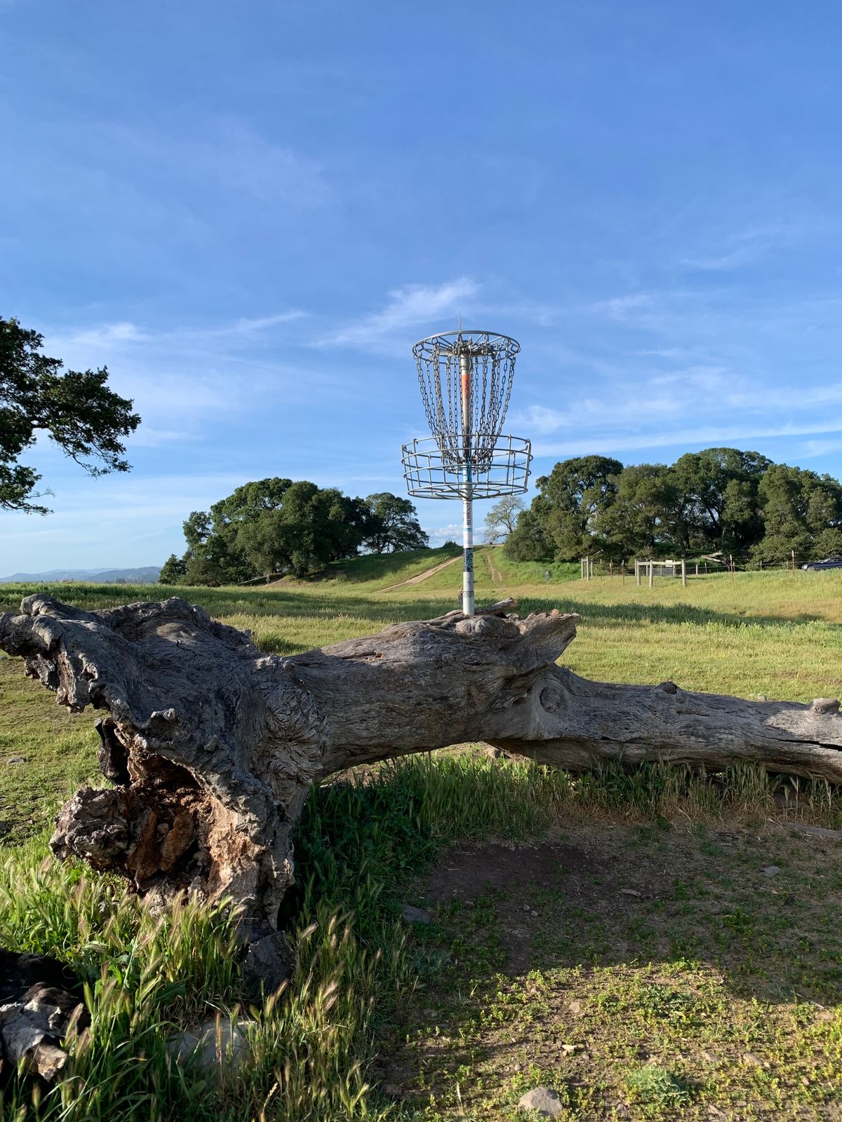 Cool basket placement.