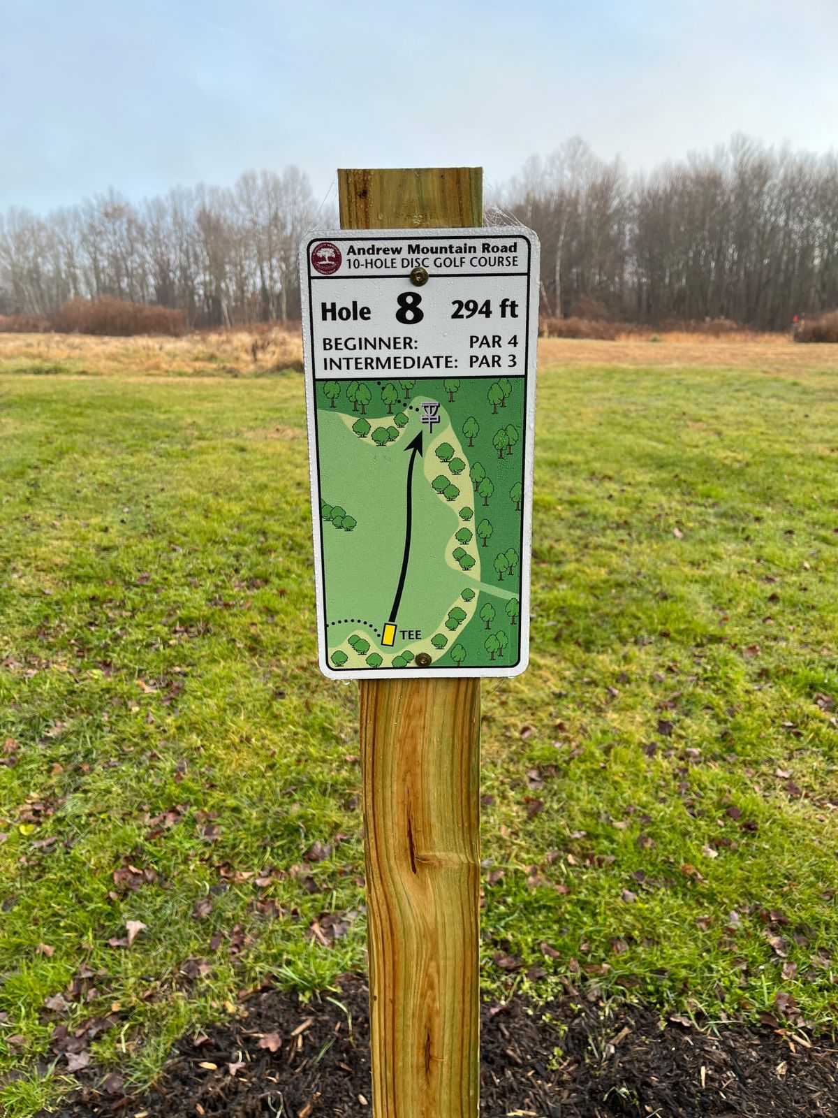 Hole 8