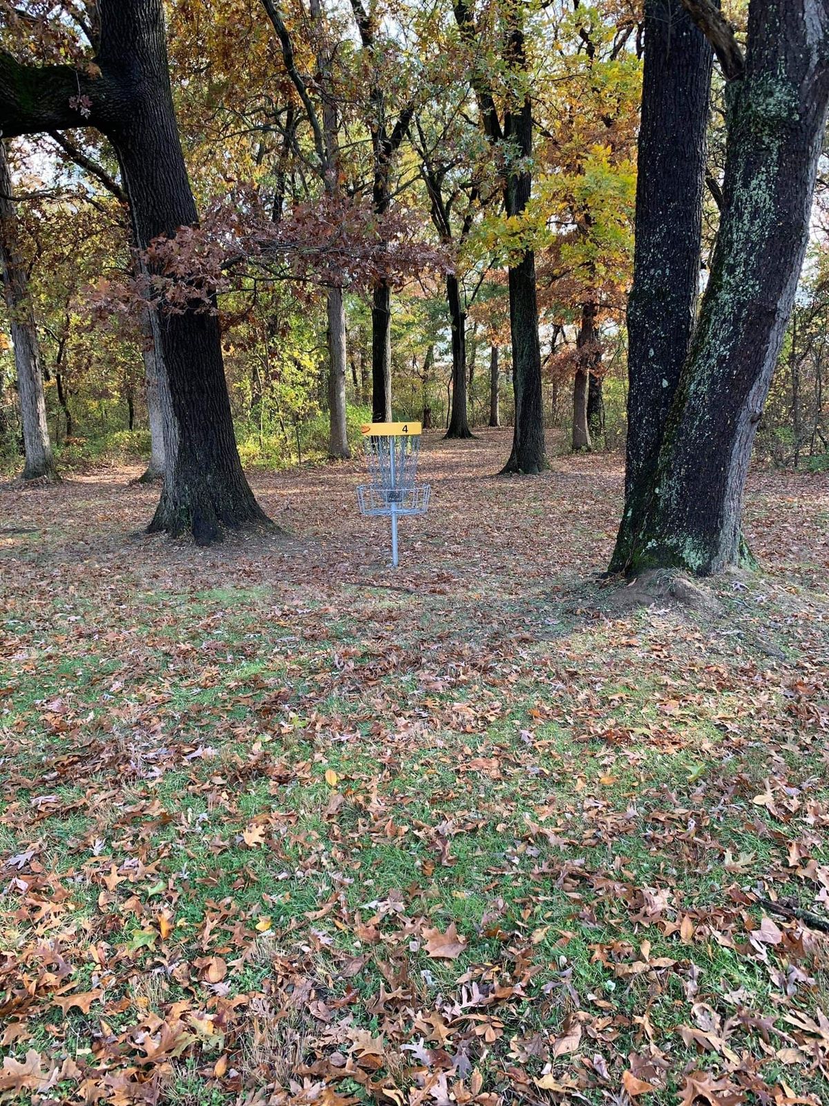 Hole 4 basket