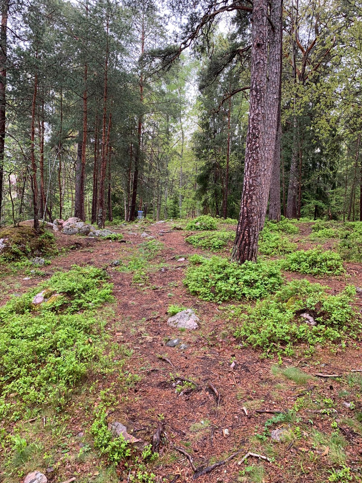 Hål 7