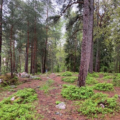 Hål 7