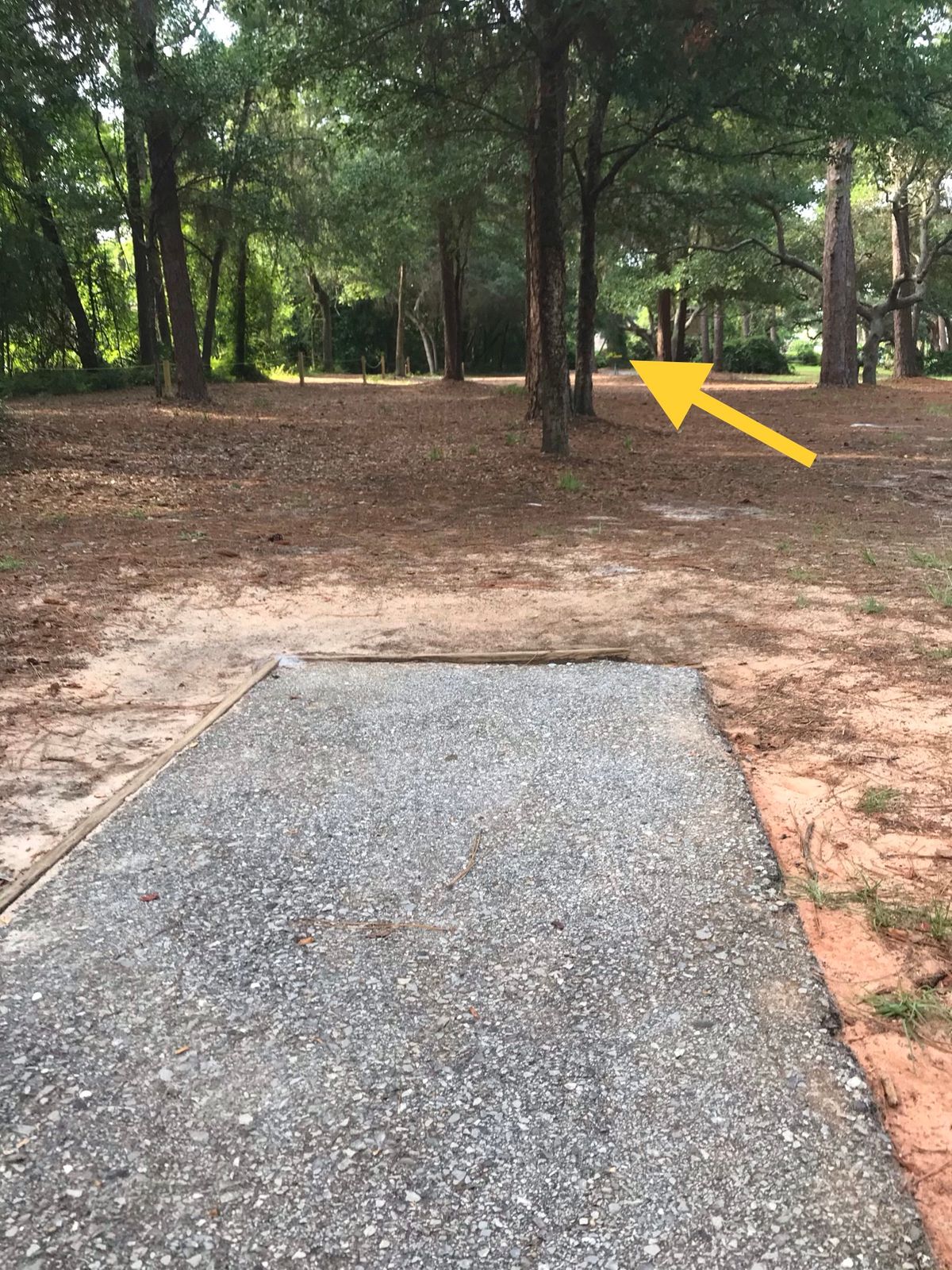 Amateur tee, 3rd hole