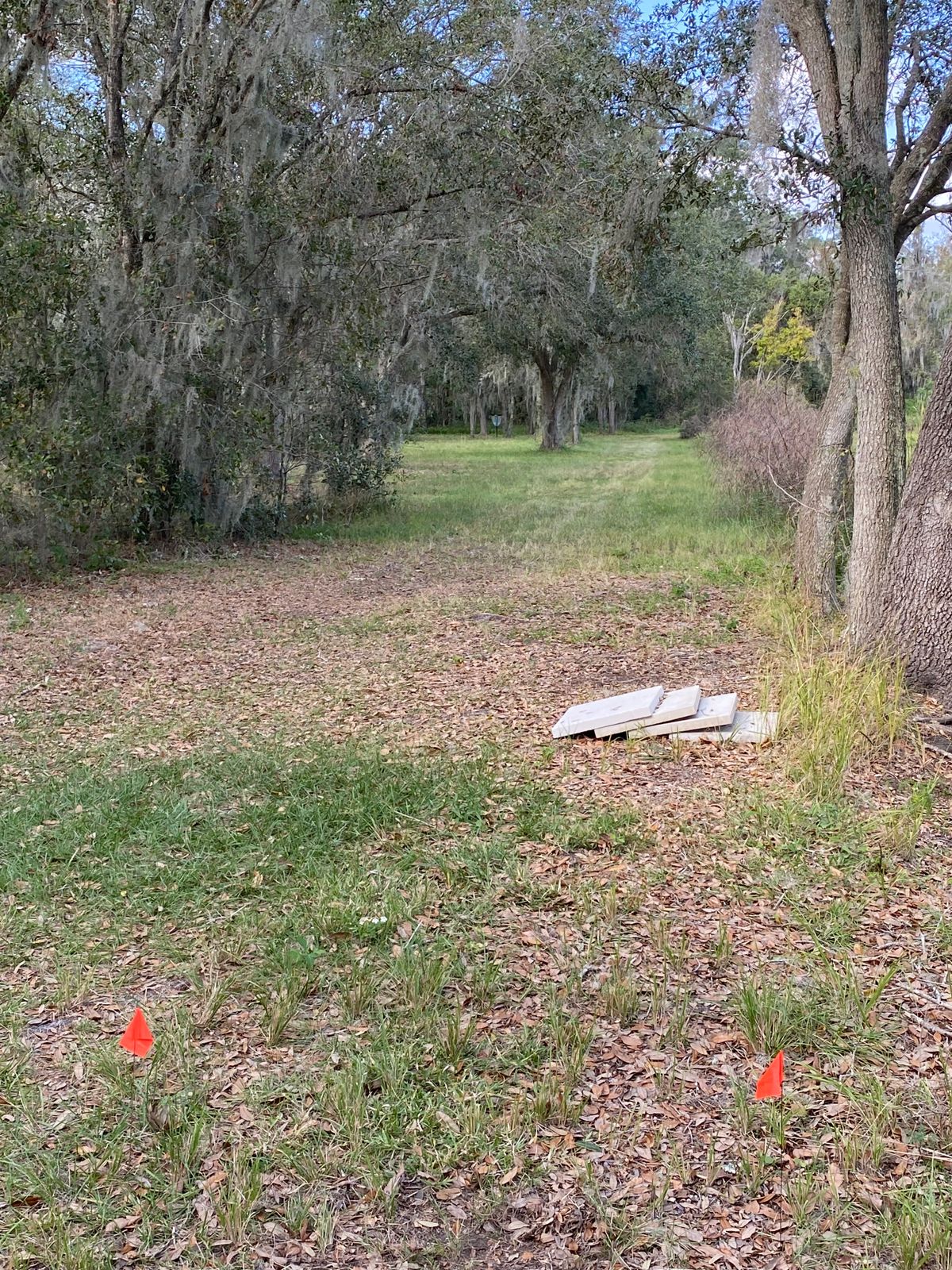 Hole 7 looking toward basket.