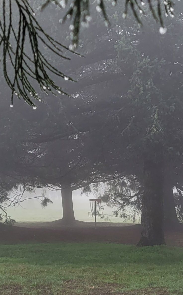 Hole 13 basket on a foggy December day