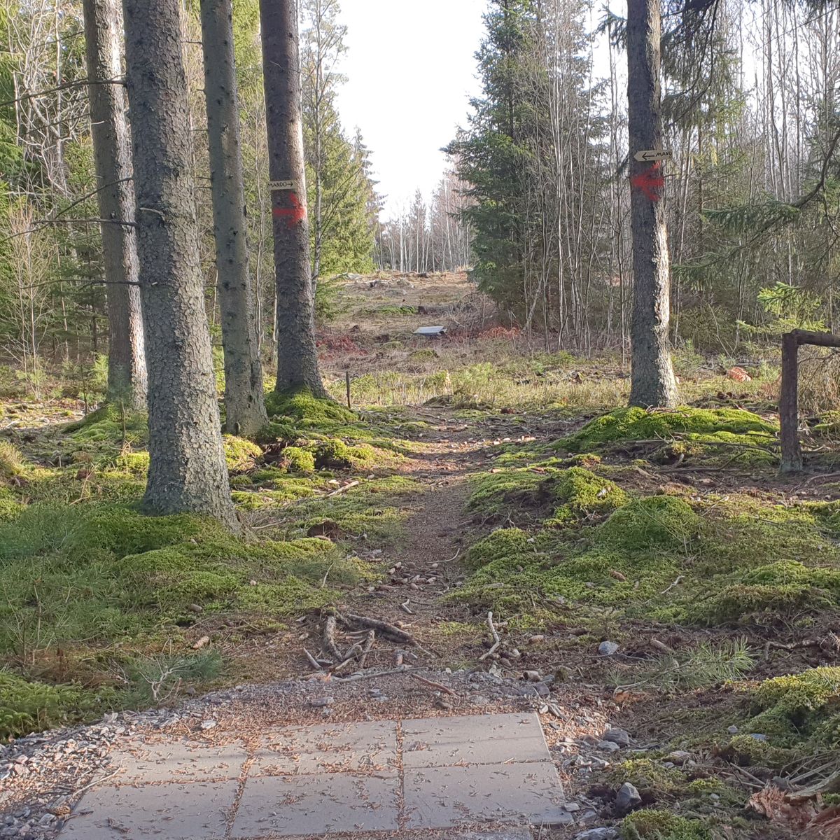 Hole 8 dubble mando