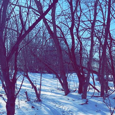 1/22/22 - Between Hole 12 & Tee for 13