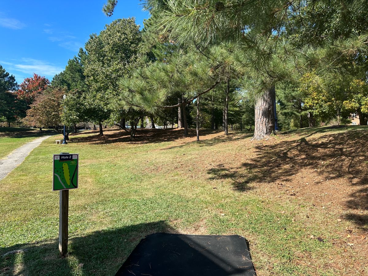 Hole #2