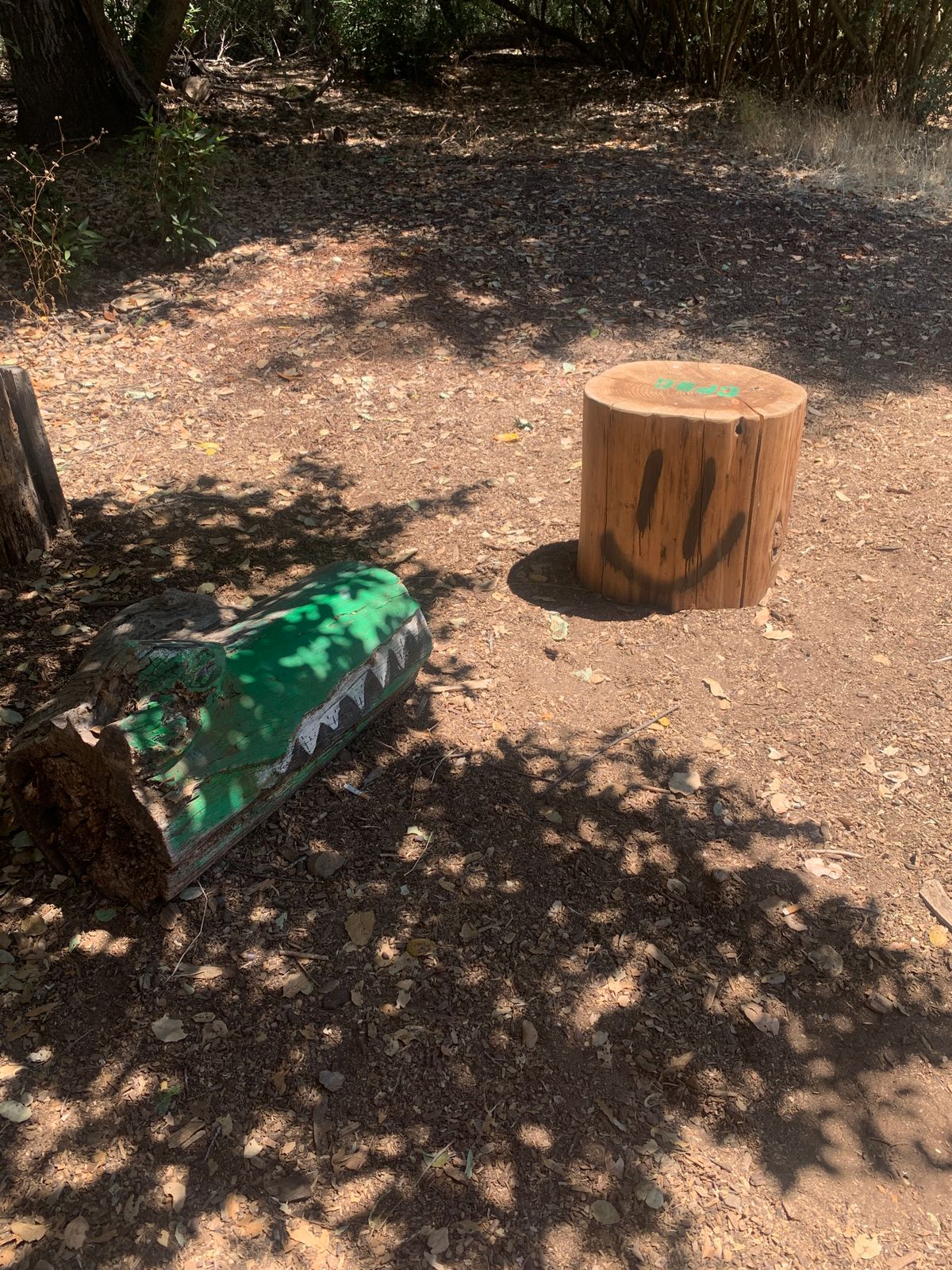Stump on path to 4 Tee Pad