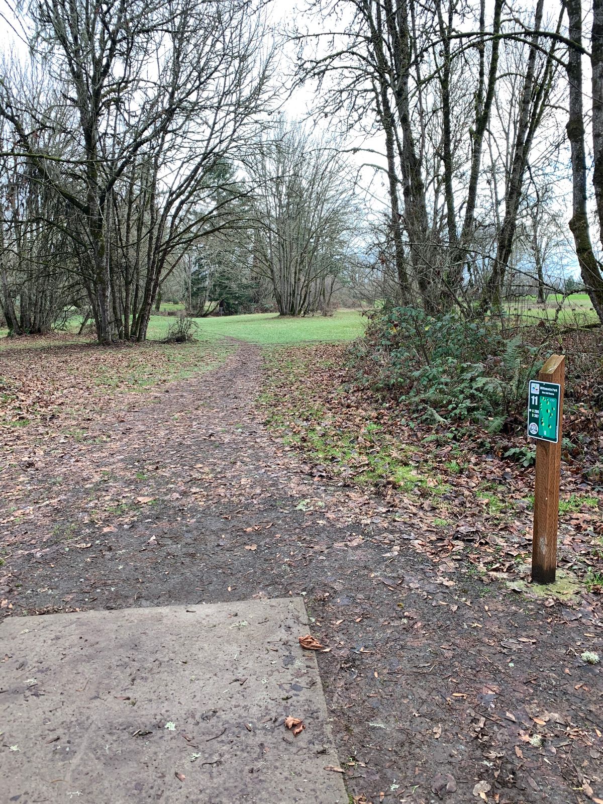 Hole 11