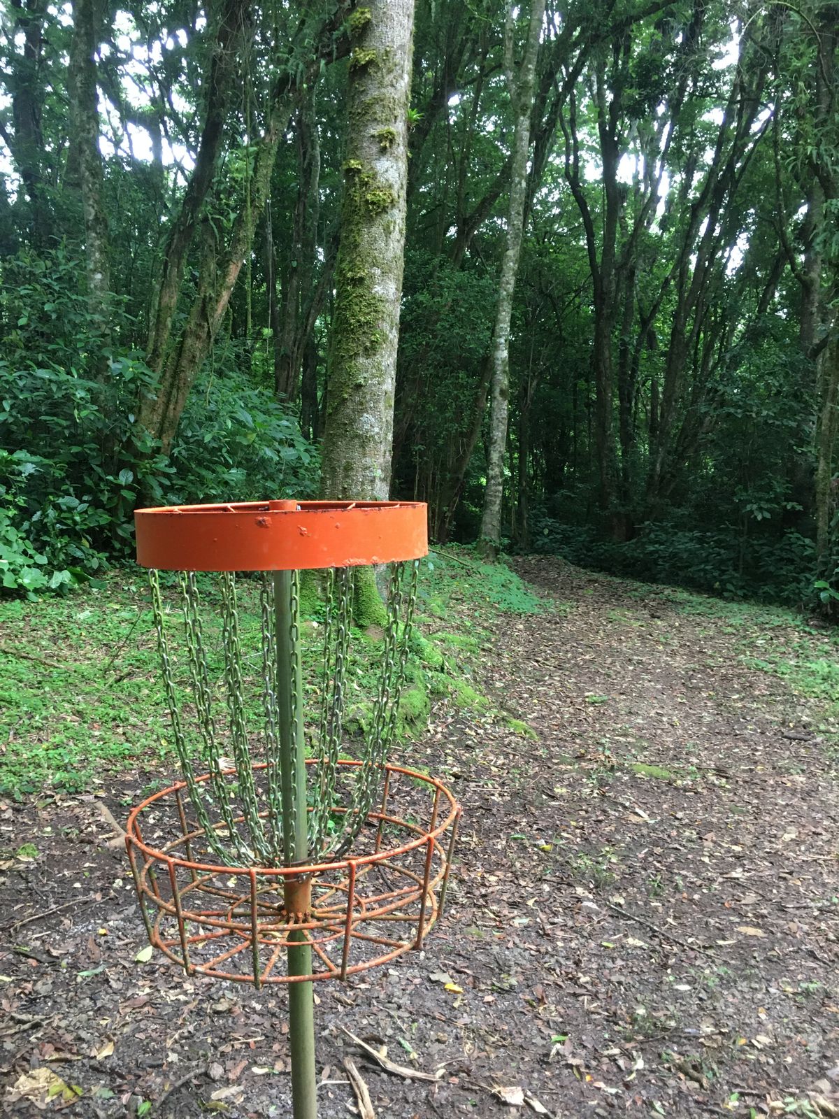Hole 3 Basket to Tee