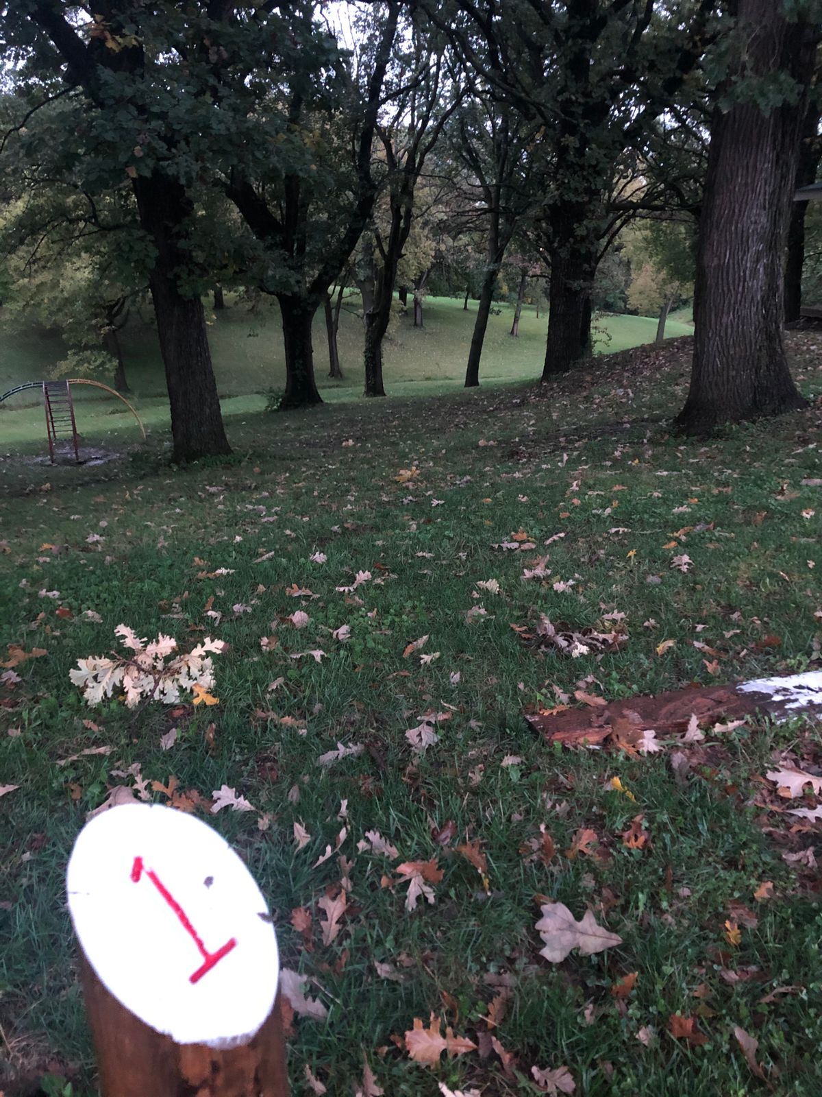 Hole 1, fun downhill tunnel, and halfway back up the next rise.