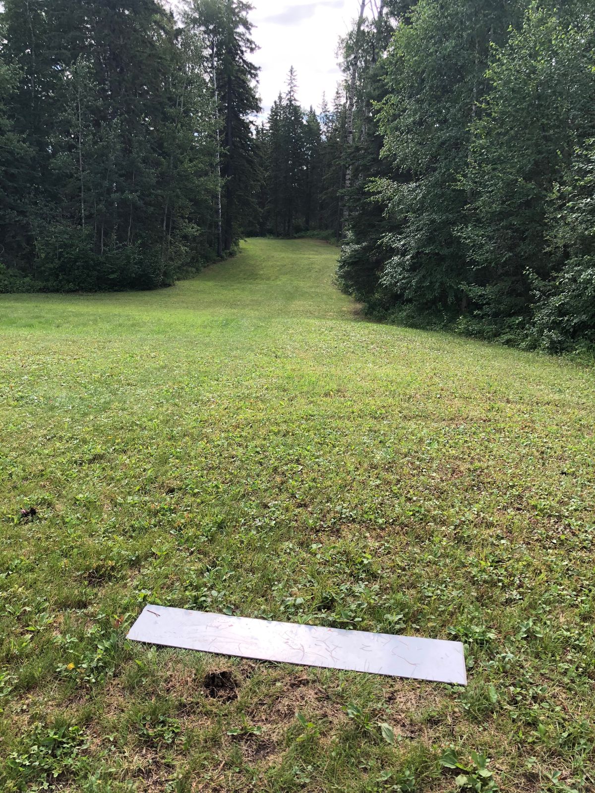 #3 tee looking down the hill on Action