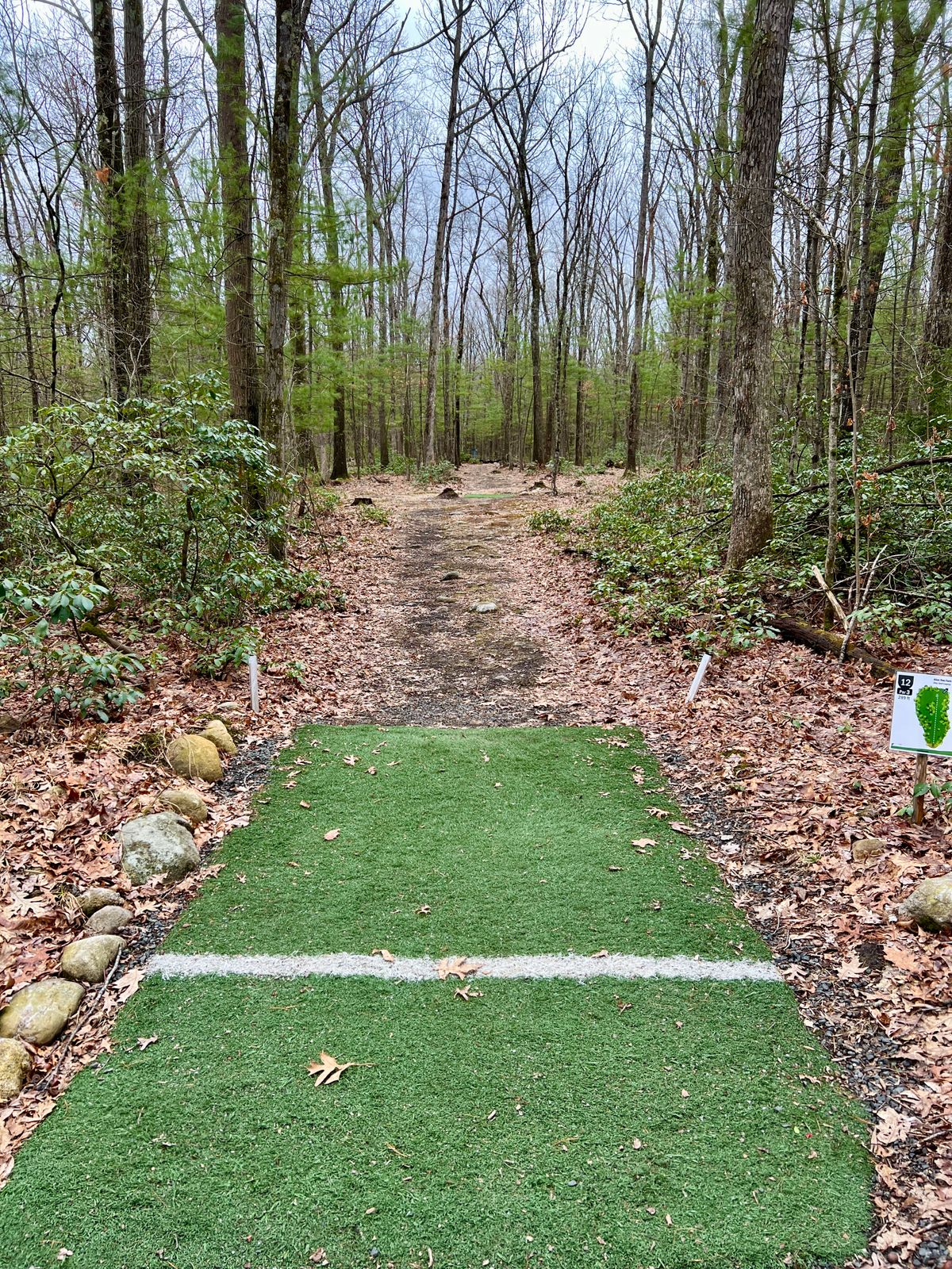 Hole #12 Tee Box