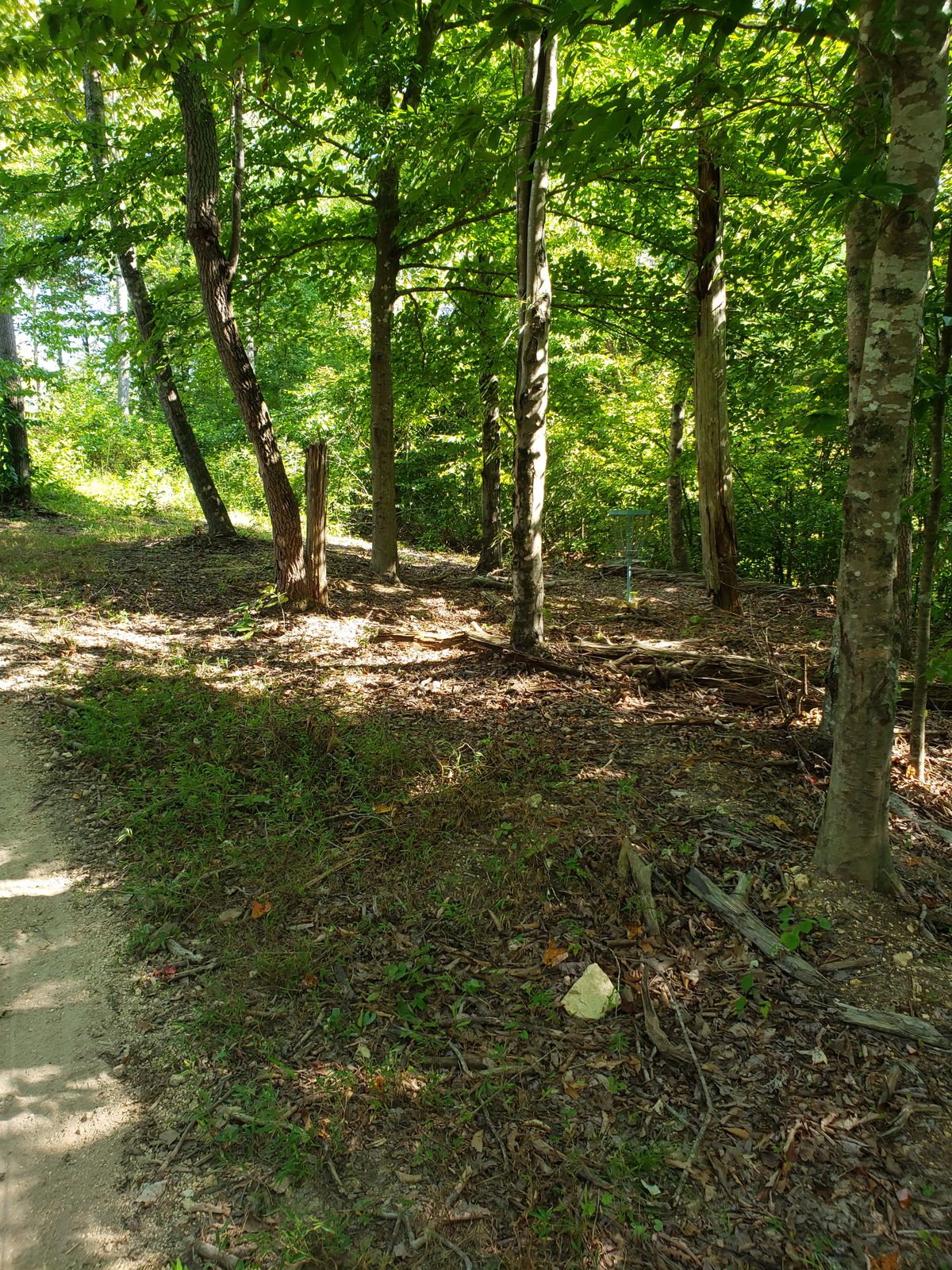 Hole 1