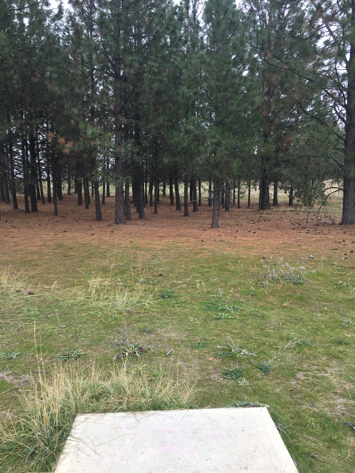 View from hole 5 tee box