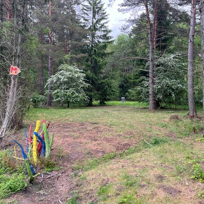 Green hål 11