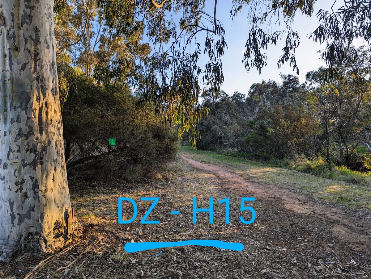 DZ-H15