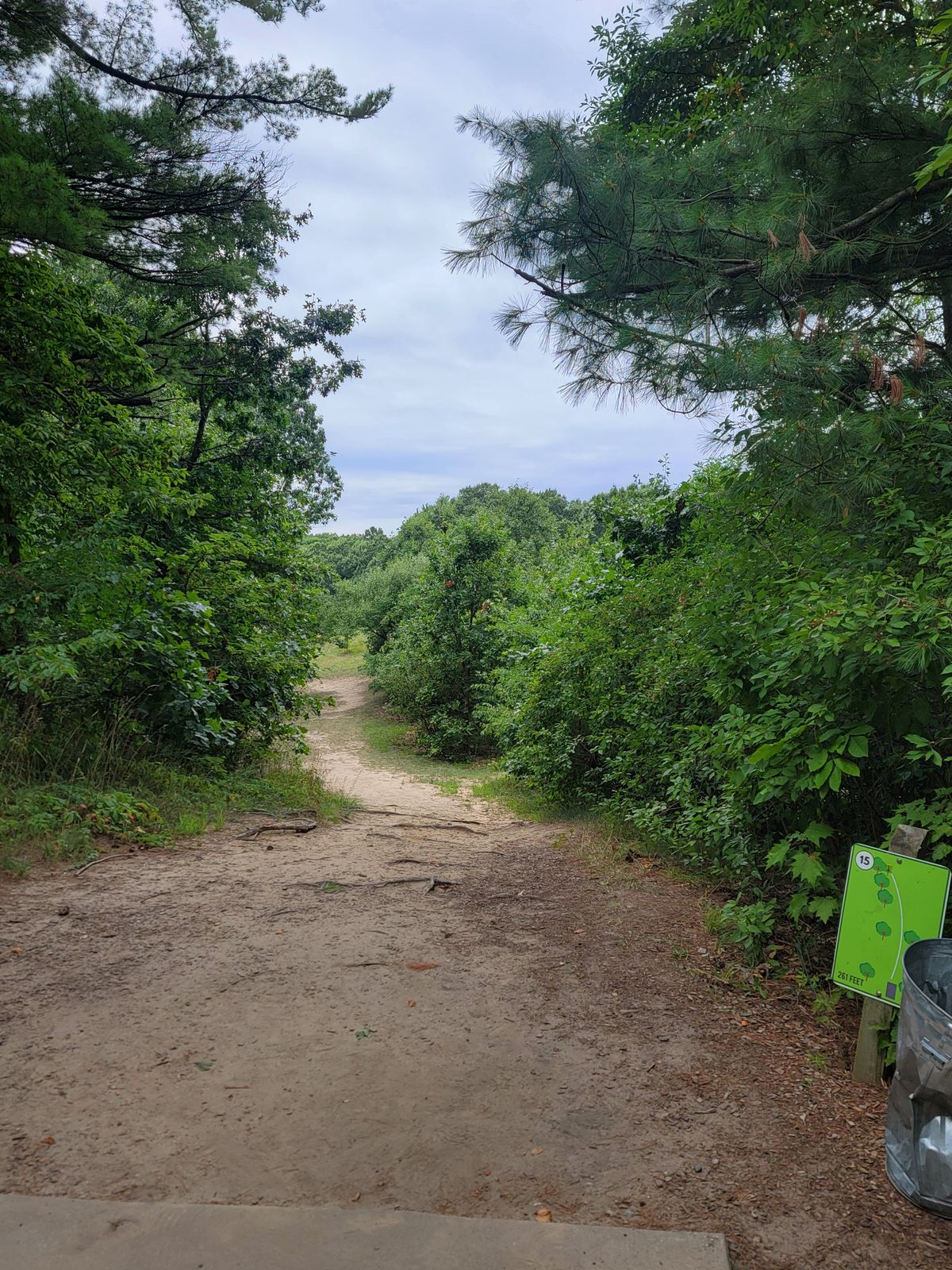 Hole #15