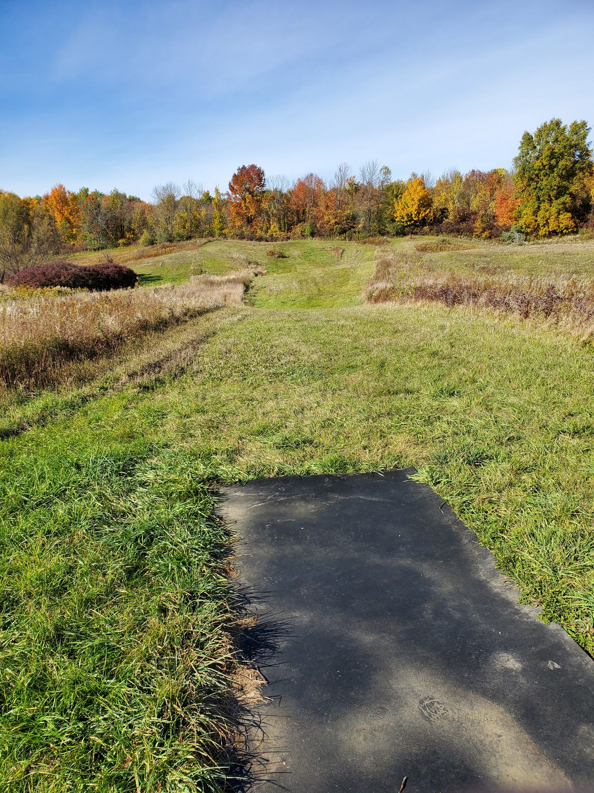 Hole 6