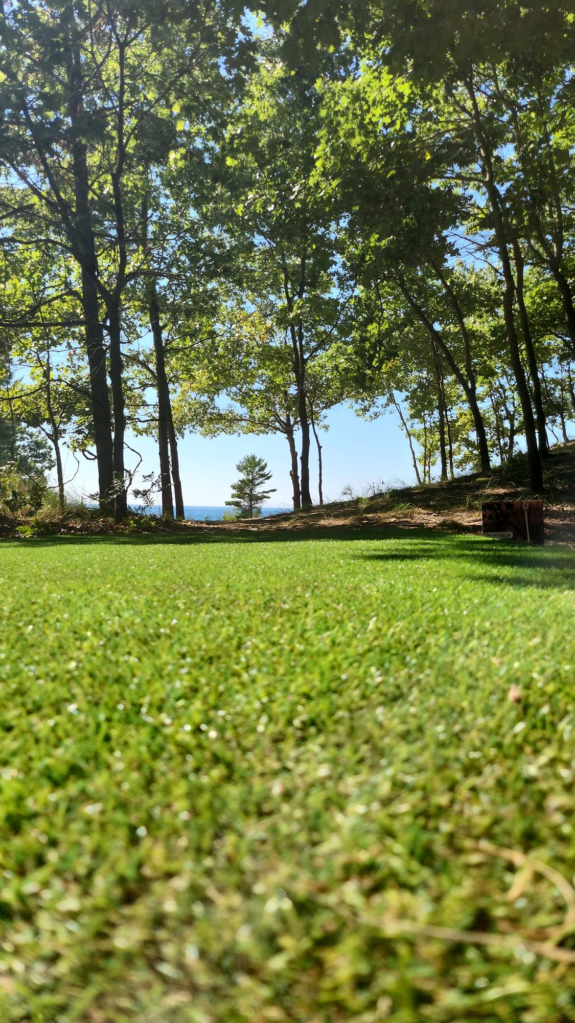 Hole 10 tee pad might be the most gorgeous shot in Michigan 😍
