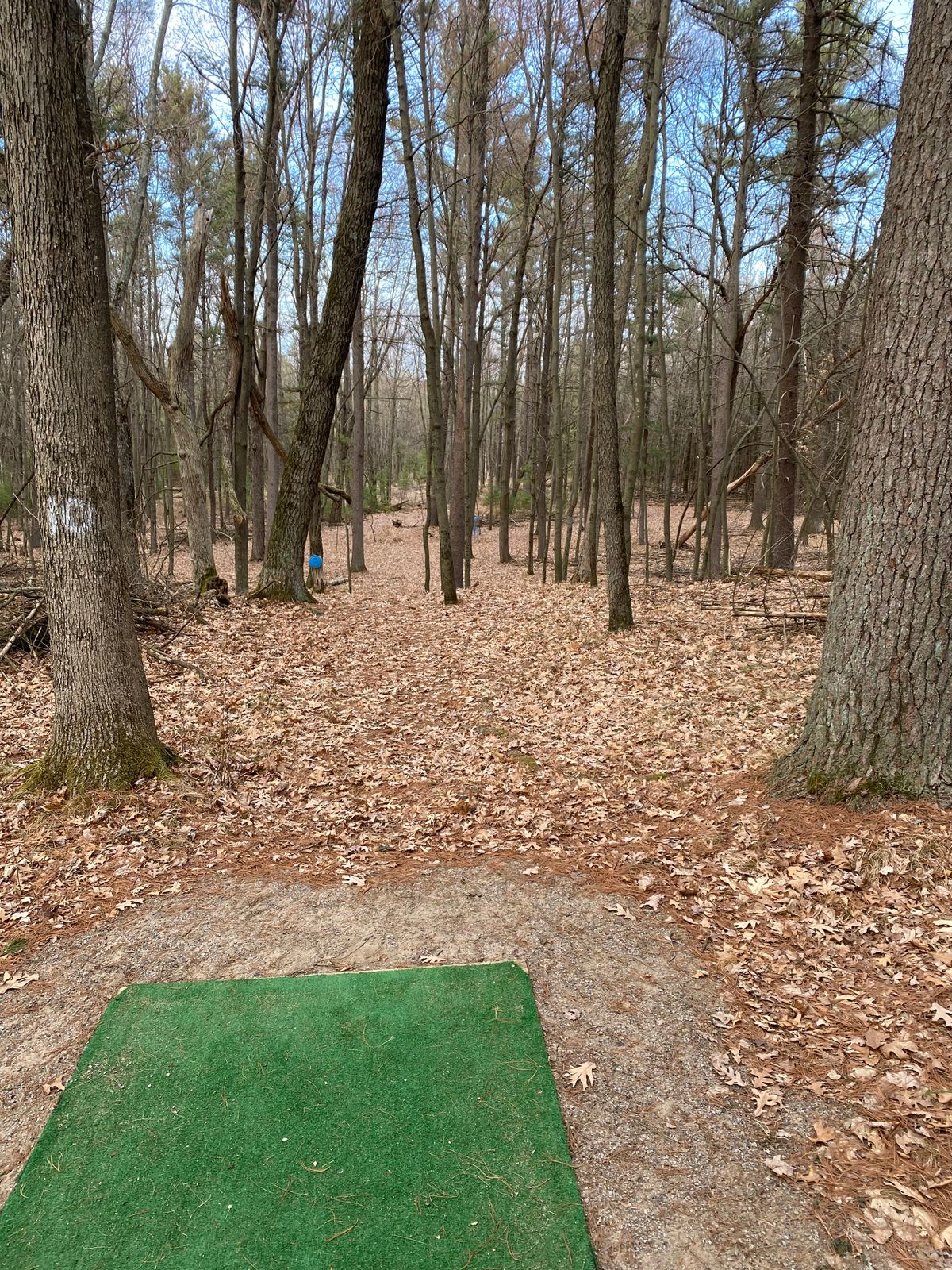 Hole 11