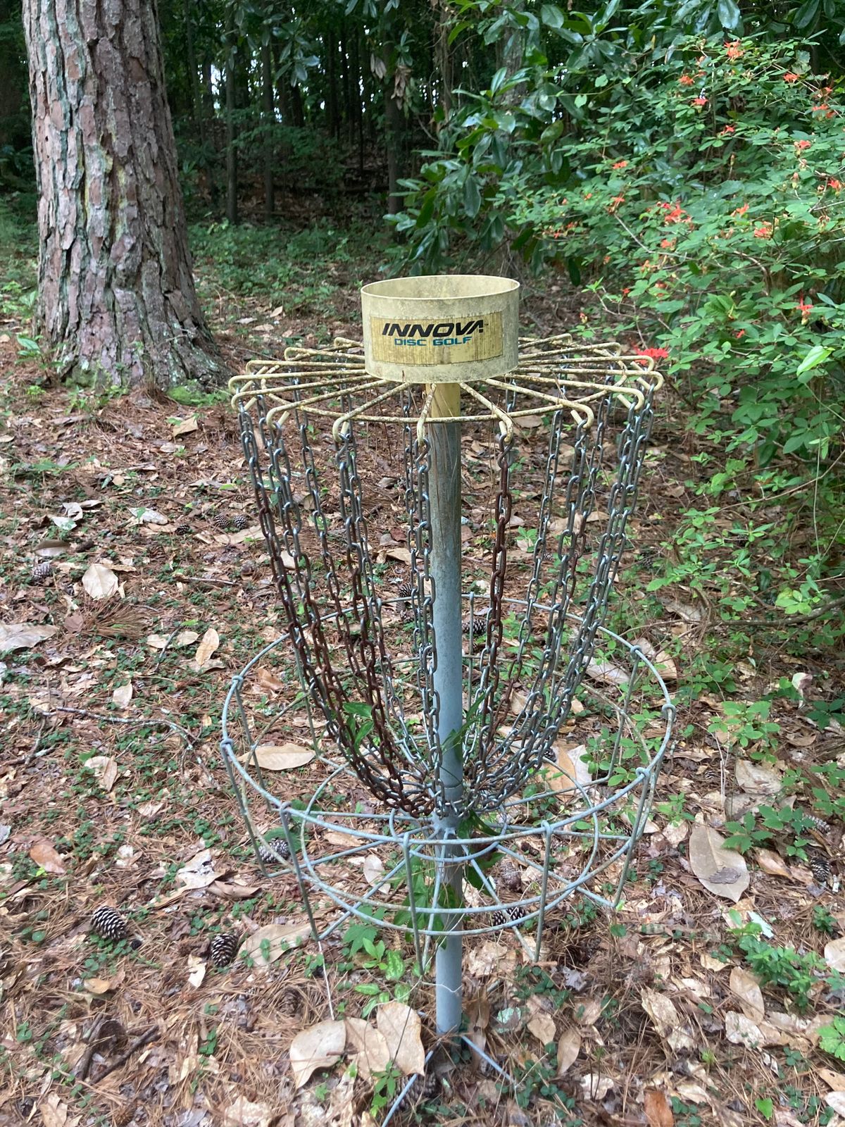 Inova baskets