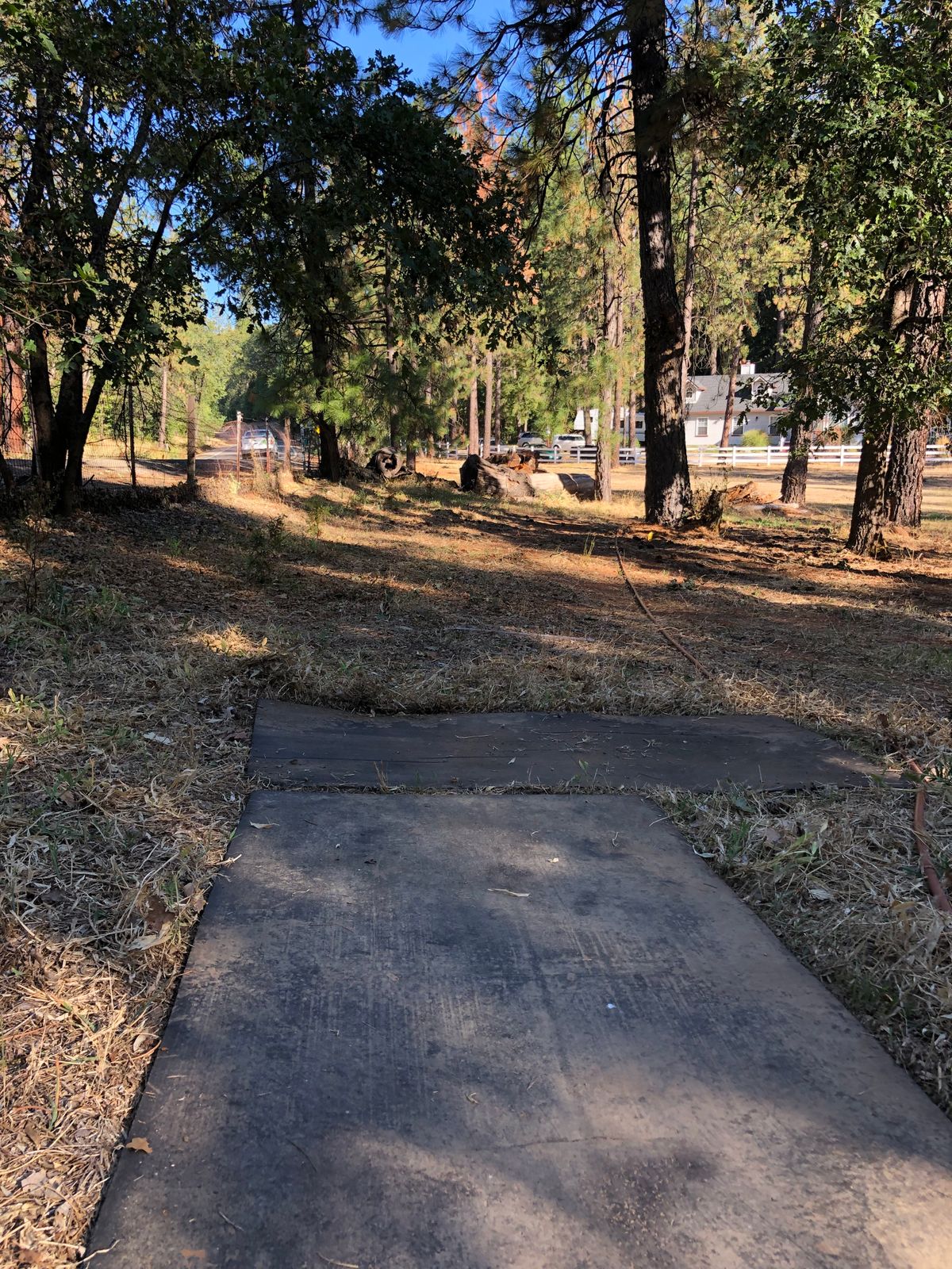 Tee 7