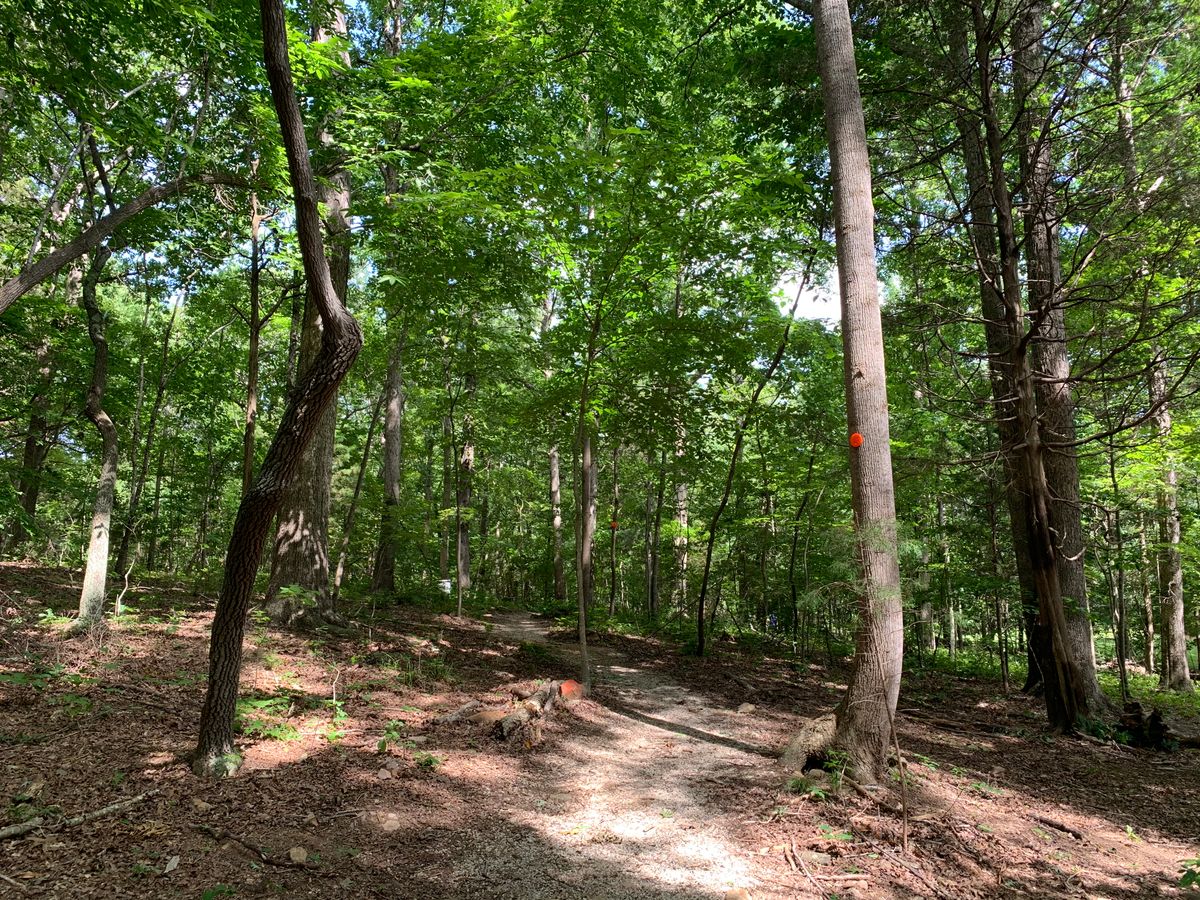 Hole 6