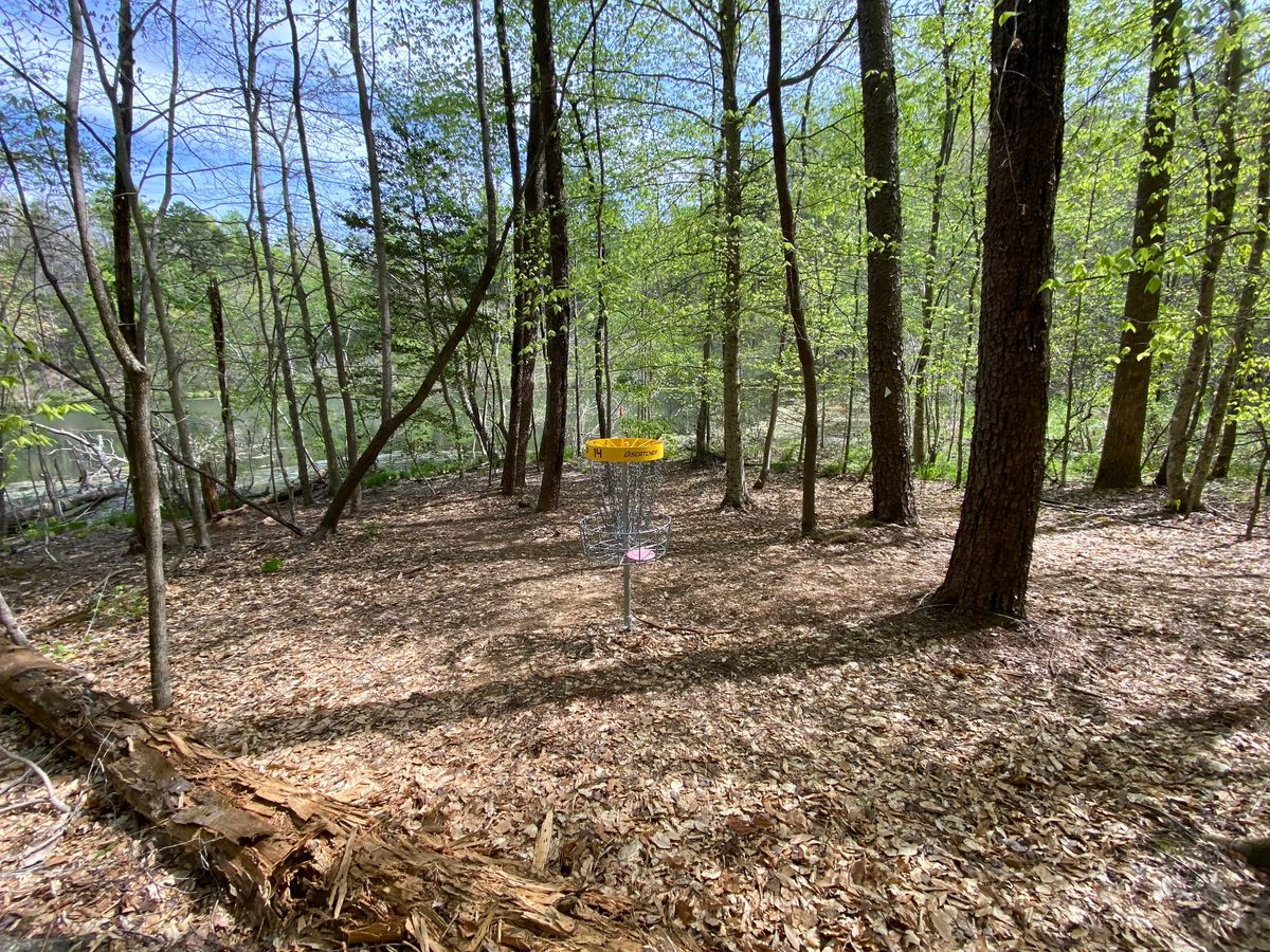 Hole 14 green. There is water behind the green.