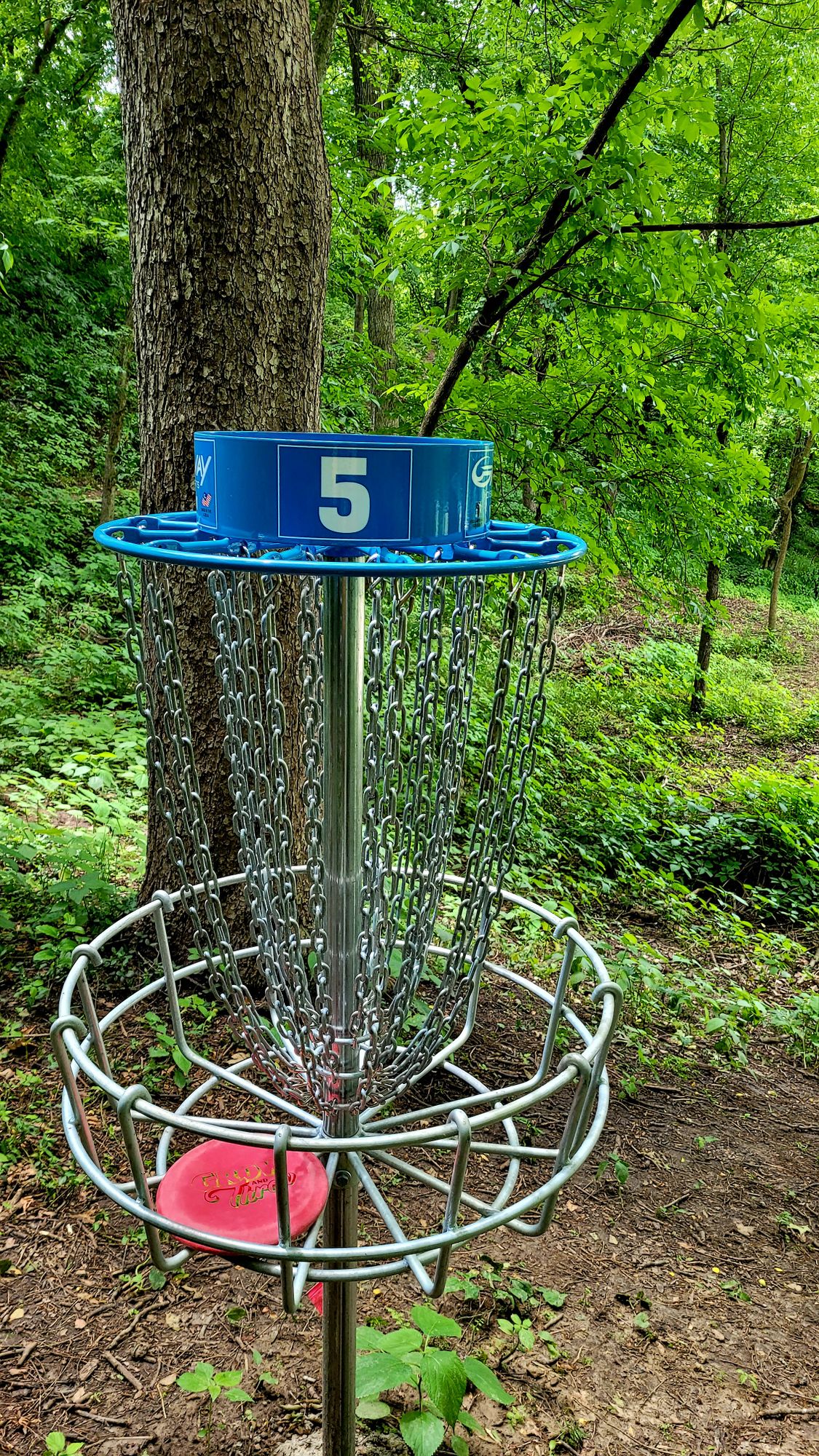 Hole 5
Basket back toward Tee