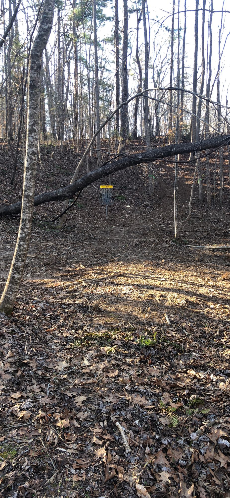 Hole 9 Basket