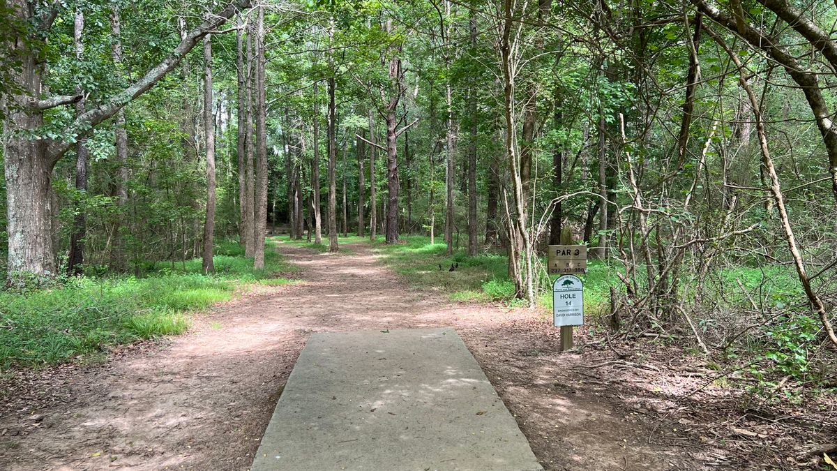 Hole 14