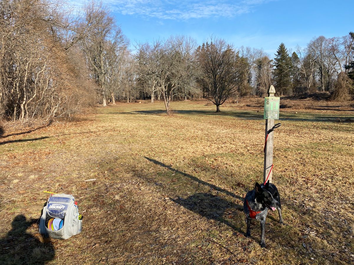 Original #15, out of play — basket has been removed.