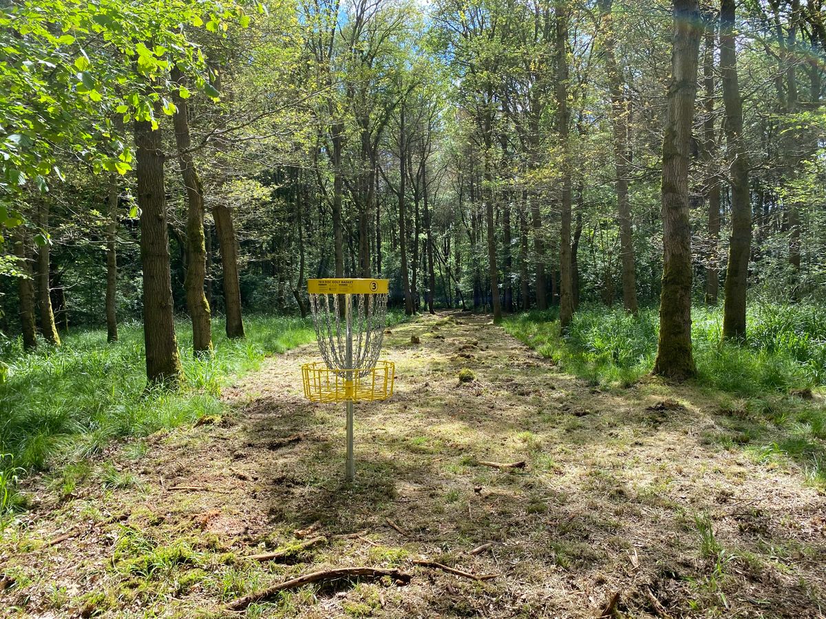 Hole 3 Basket - looking back up the fairway