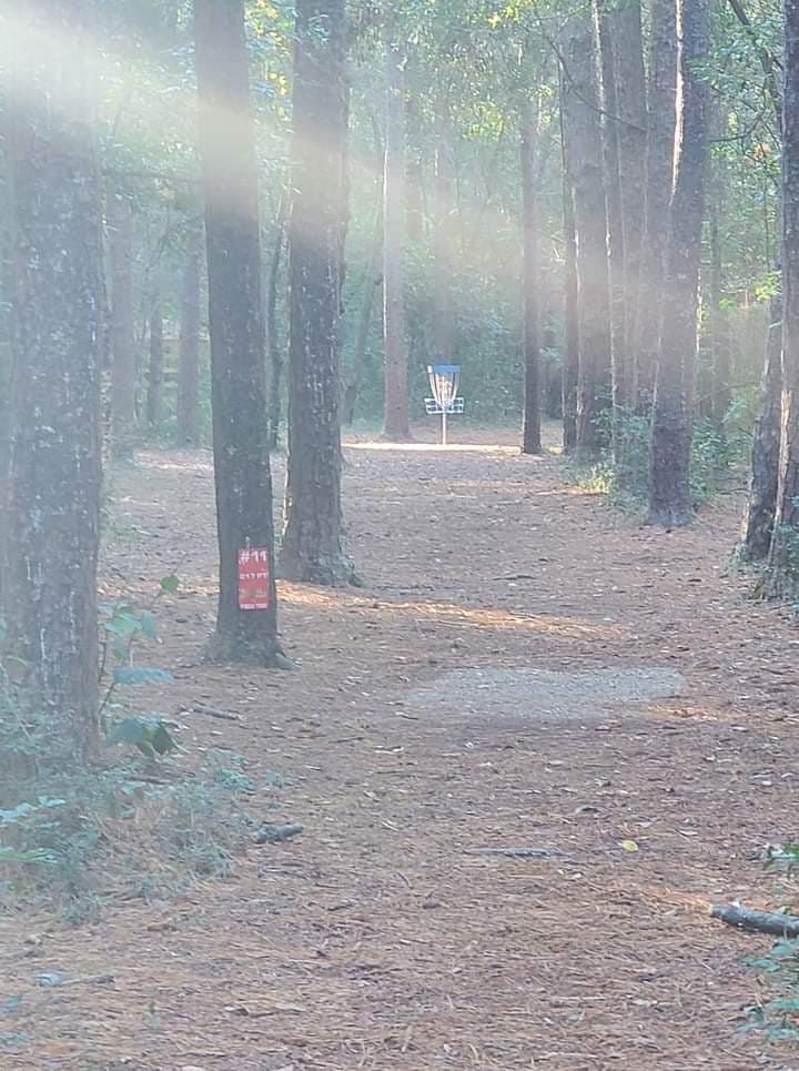 The straight and narrow