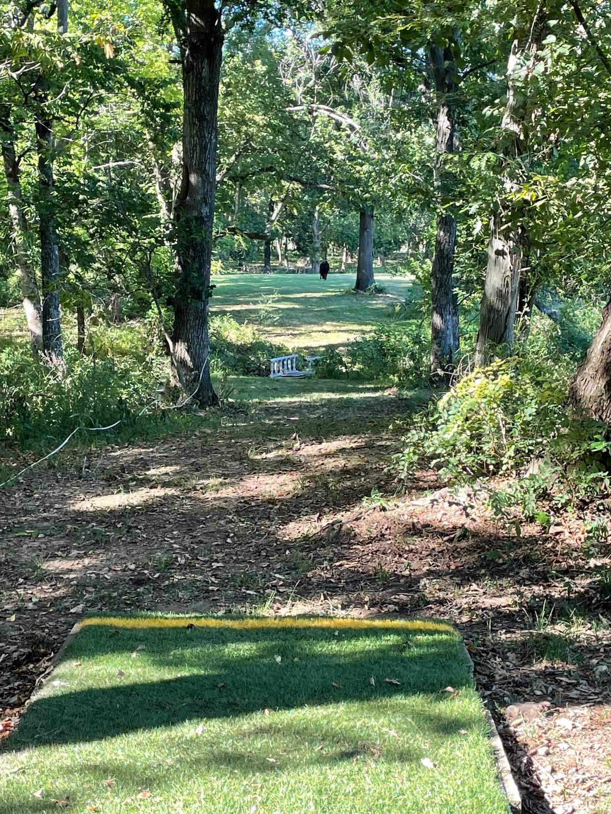 Hole 12 Tee Pad