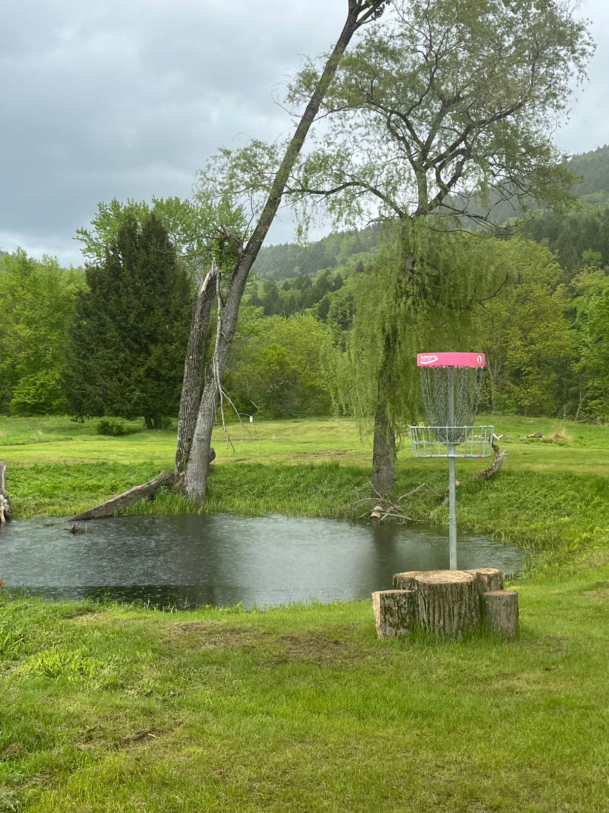 Looking back at tee on hole 5