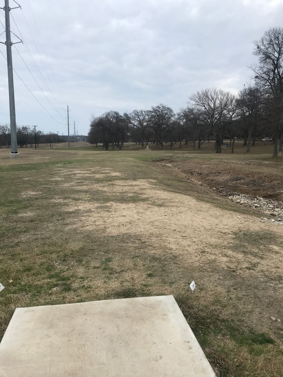 Hole 8 (short) elevated basket