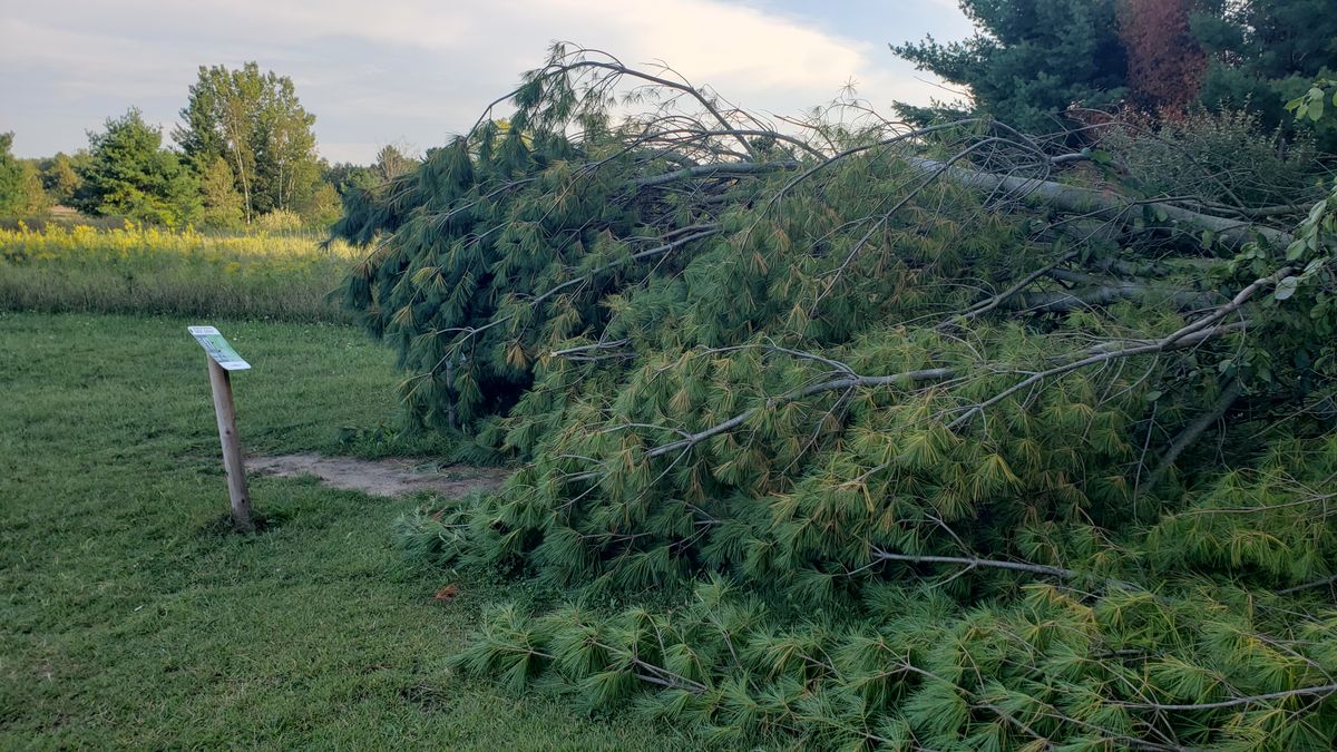 The tee on 17th currently. A storm came by and this happened. 08.29.21