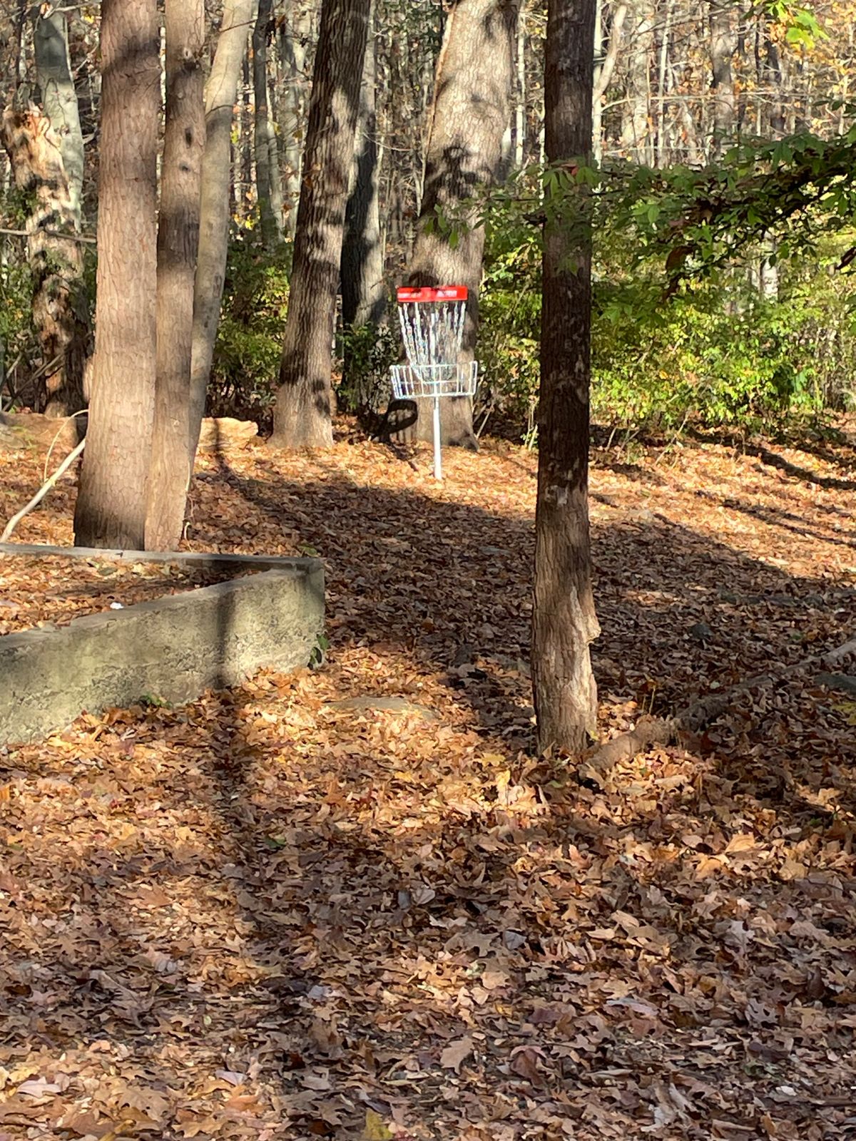 New 28 innova practice basket.  3rd basket for putting area.